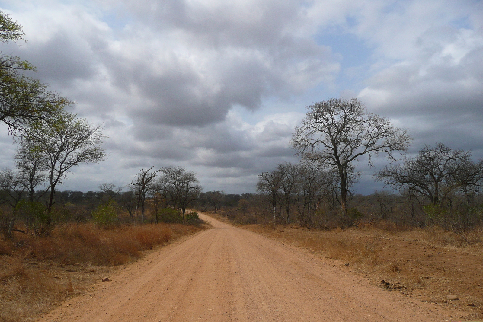 照片 南非(South Africa) 克鲁格国家公园(Kruger National Park) 鳄鱼河公路(Crocodile River road) 2008-09 7
