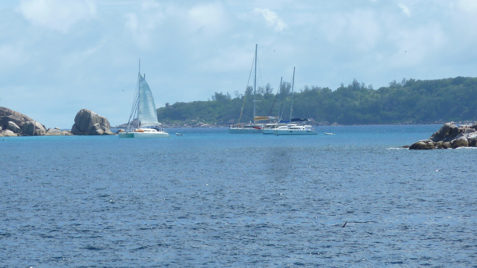 照片 塞舌尔(Seychelles) 椰子岛(Coco Island) 2011-10 44