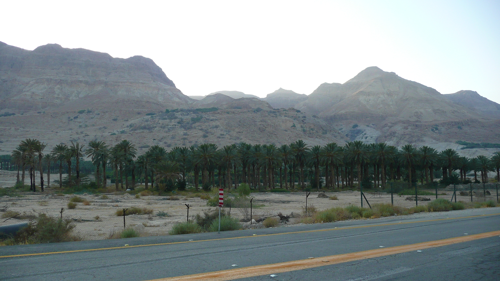 照片 以色列(Israel) 死海(Dead Sea) 2007-06 114