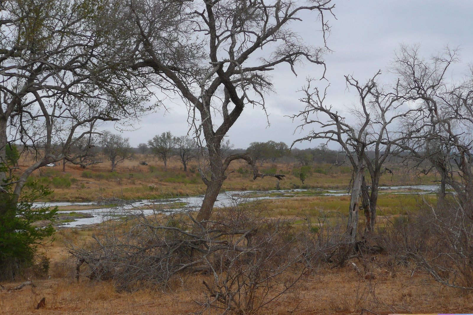 照片 南非(South Africa) 克鲁格国家公园(Kruger National Park) 鳄鱼河(Crocodile River) 2008-09 3
