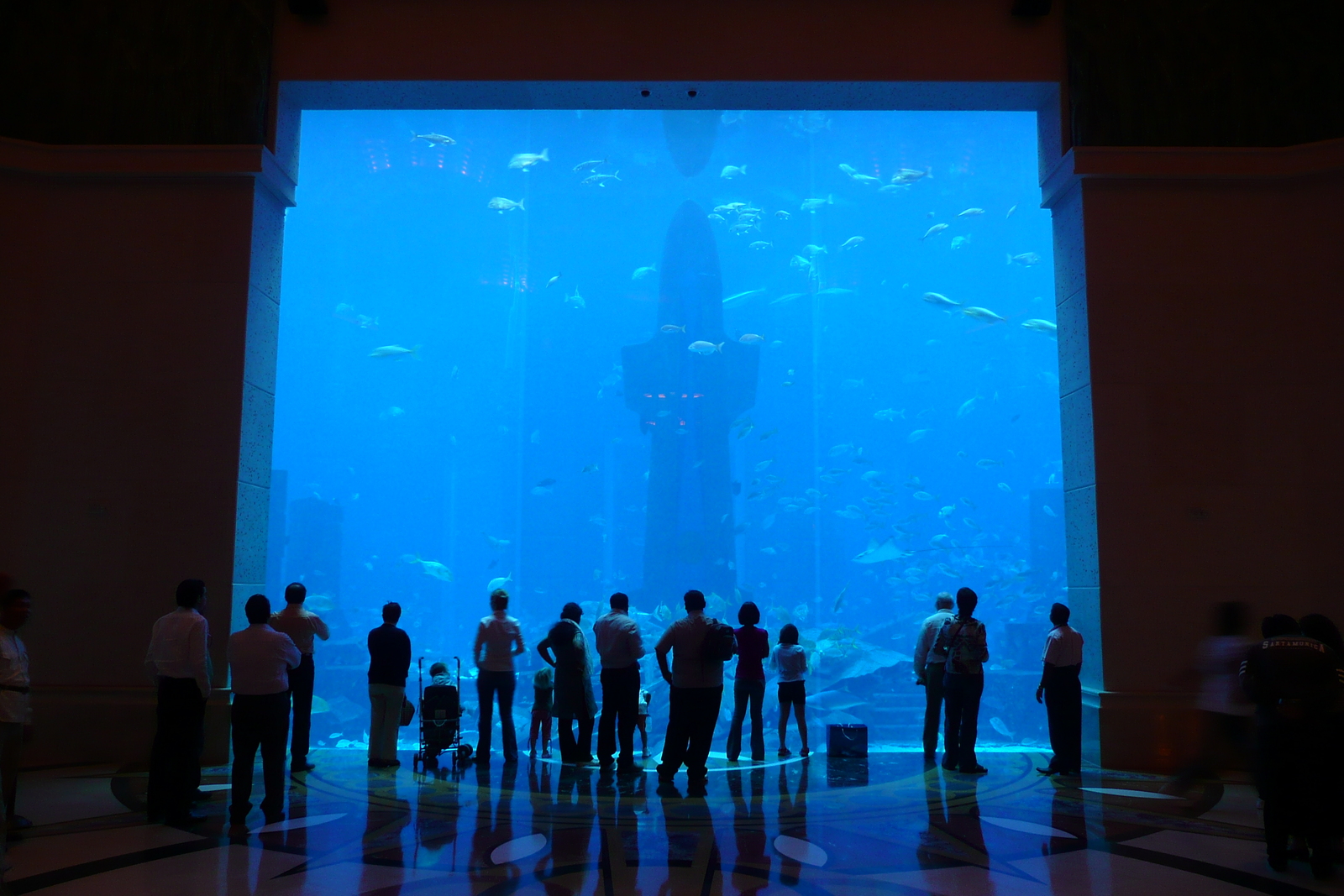 照片 阿联酋(United Arab Emirates) 迪拜(Dubai) 迪拜水世界(Dubai Aquaventure) 2009-01 69