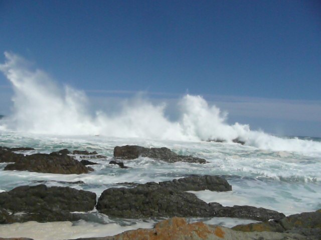 照片 南非(South Africa) 齐齐卡马国家公园(Tsitsikamma National Park) 2008-09 67