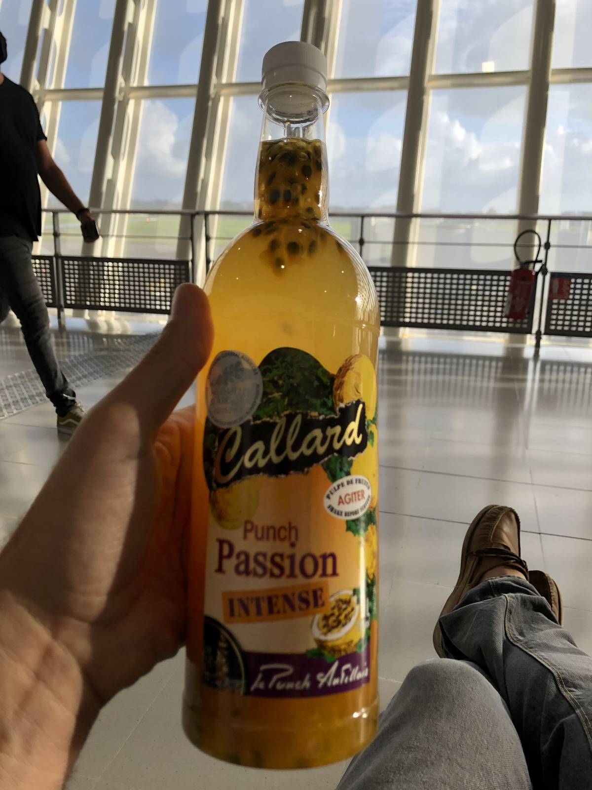 照片 瓜德罗普(Guadeloupe) 皮特尔角城(Pointe a Pitre) 2021-02 6