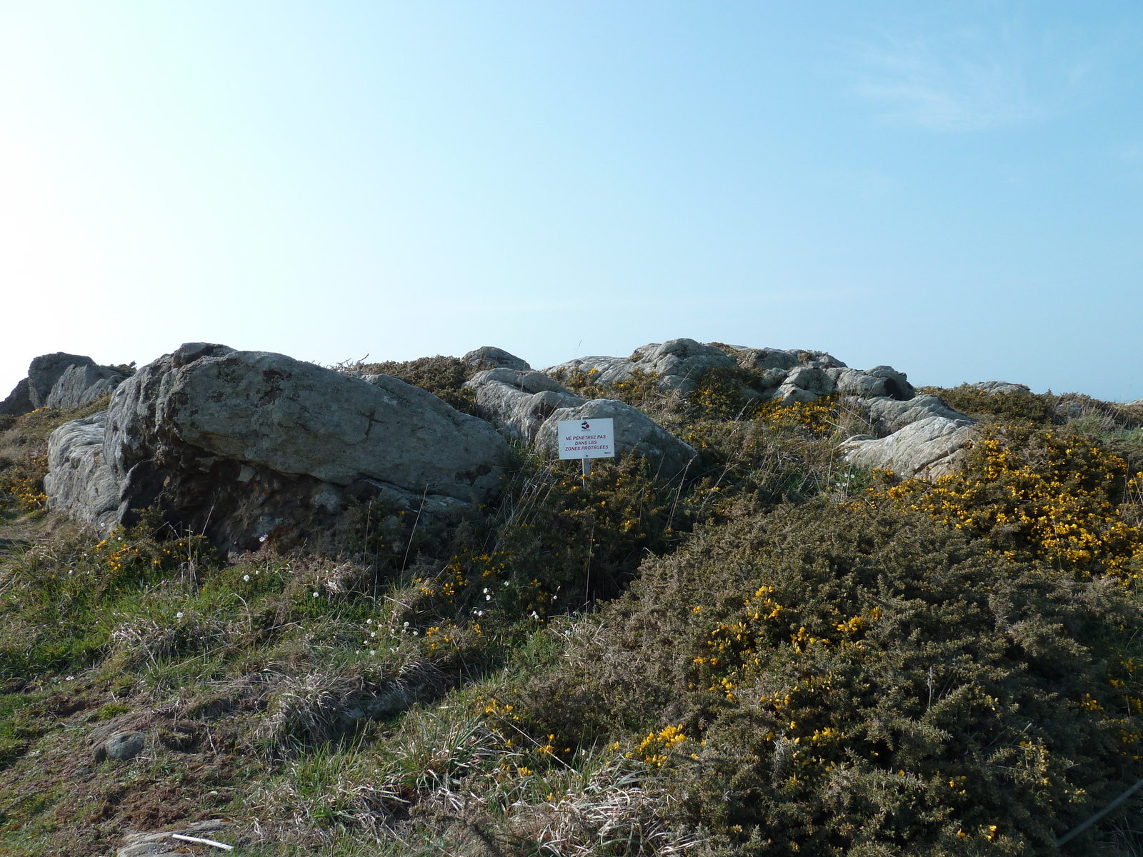 照片 法国(France) 格鲁安角(Grouin Point) 2010-04 43