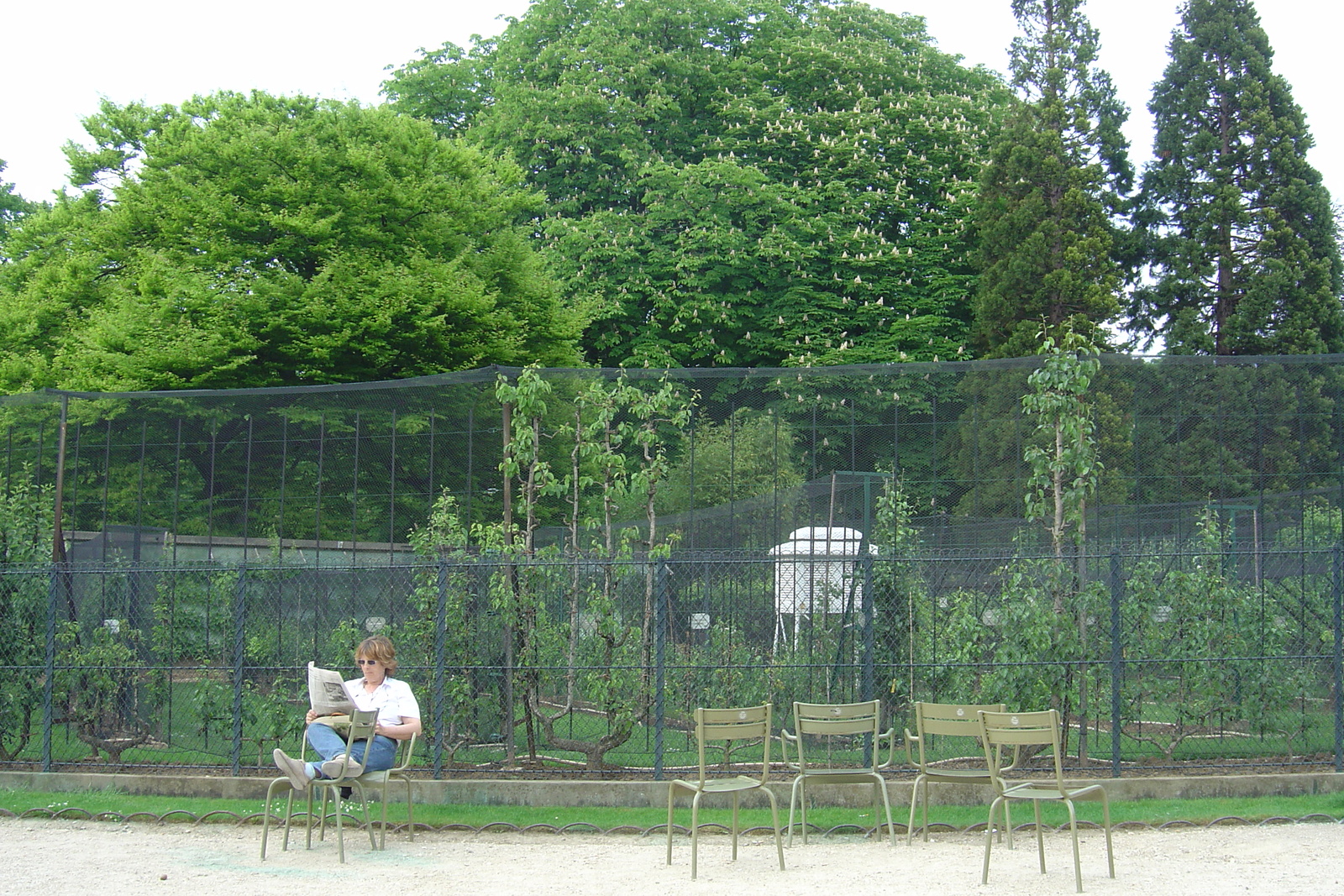 照片 法国(France) 巴黎(Paris) 卢森堡公园(Luxembourg Garden) 2007-04 11