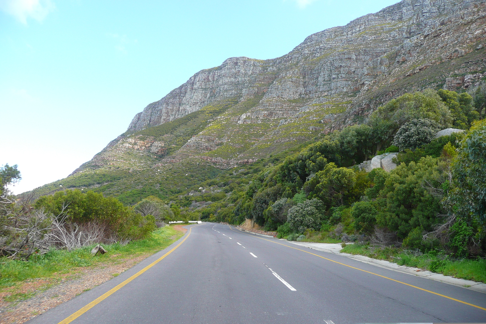 照片 南非(South Africa) 好望角(Cape of Good Hope) 2008-09 82