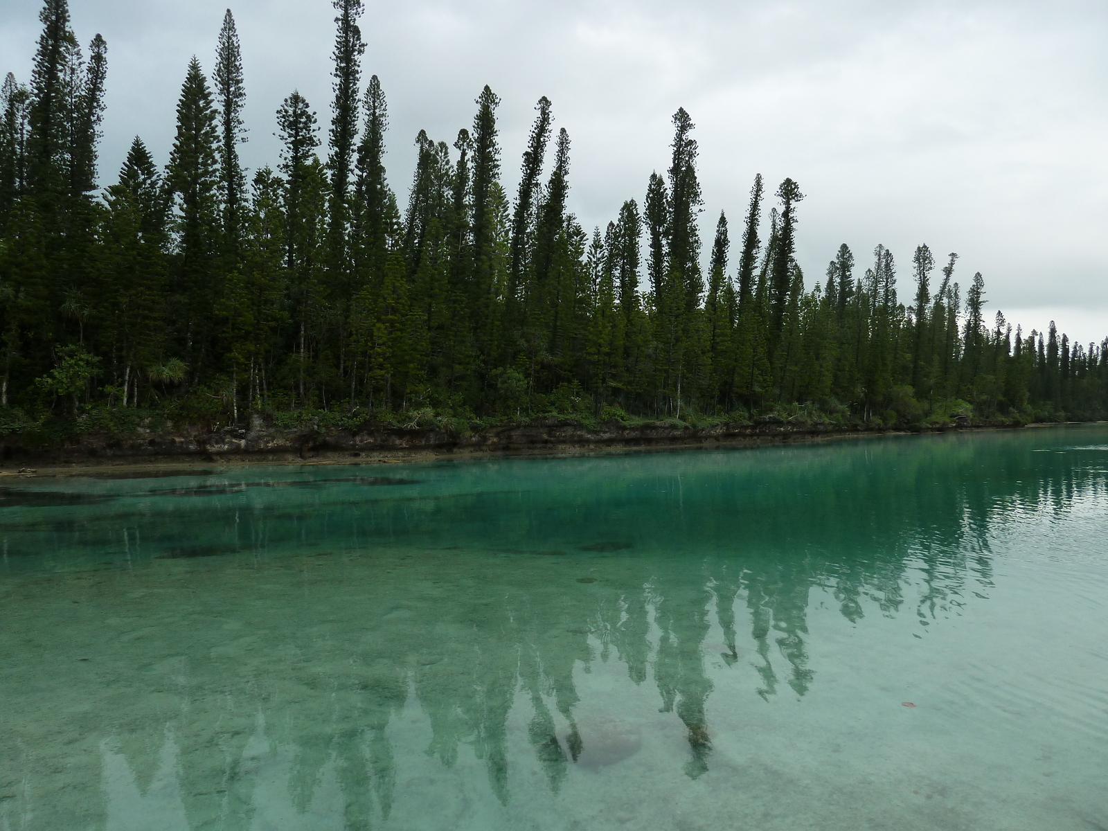 照片 新喀里多尼亚(New Caledonia) 松树岛(Ile des pins) 奥罗湾(Oro Bay) 2010-05 42