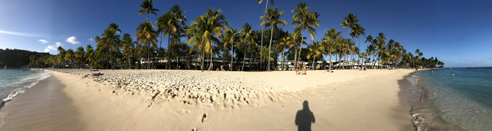照片 瓜德罗普(Guadeloupe) 卡拉维尔海滩(La Caravelle Beach) 2021-02 46