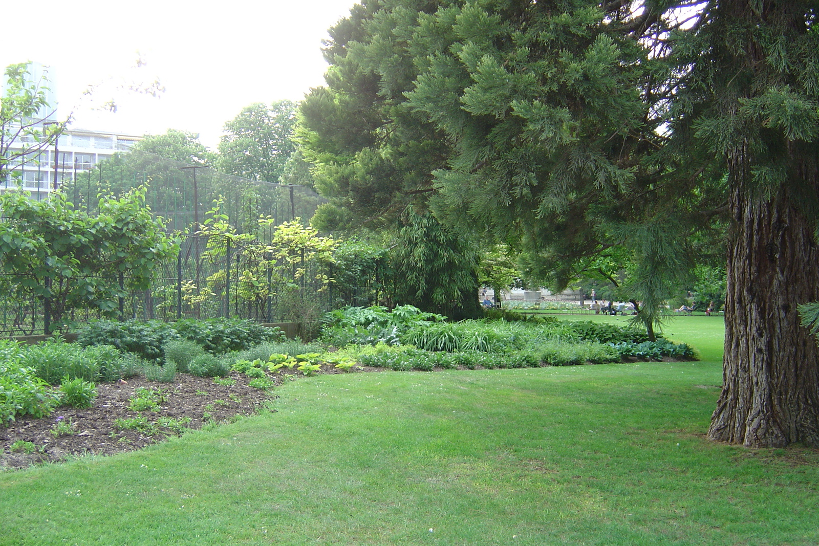 照片 法国(France) 巴黎(Paris) 卢森堡公园(Luxembourg Garden) 2007-04 38