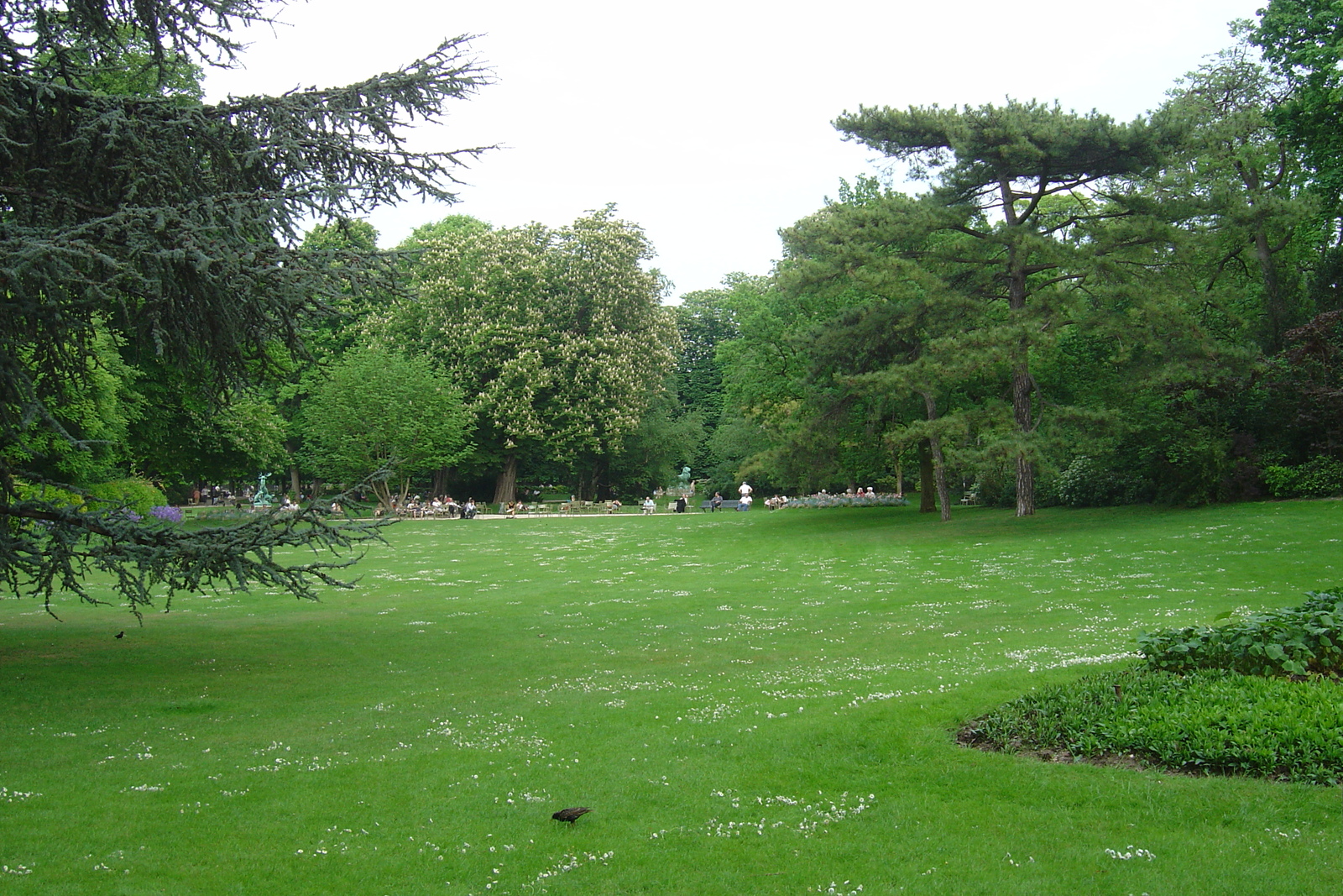 照片 法国(France) 巴黎(Paris) 卢森堡公园(Luxembourg Garden) 2007-04 32