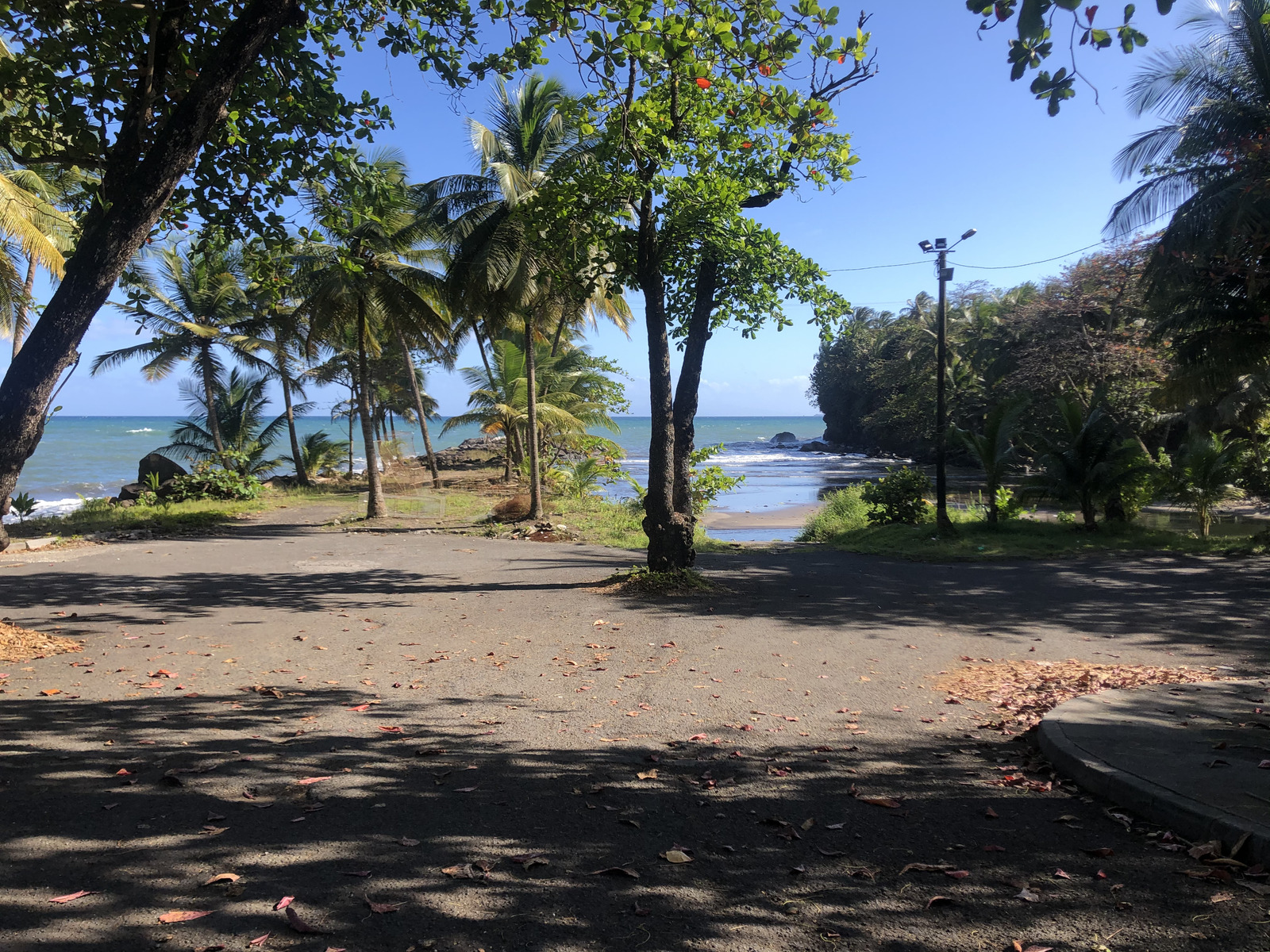 照片 瓜德罗普(Guadeloupe) 巴纳尼耶(Bananier) 2021-02 5