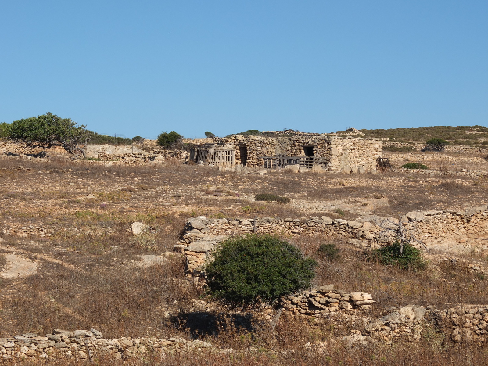 照片 希腊(Greece) 库福尼西亚群岛(Koufonissia) 2014-07 328