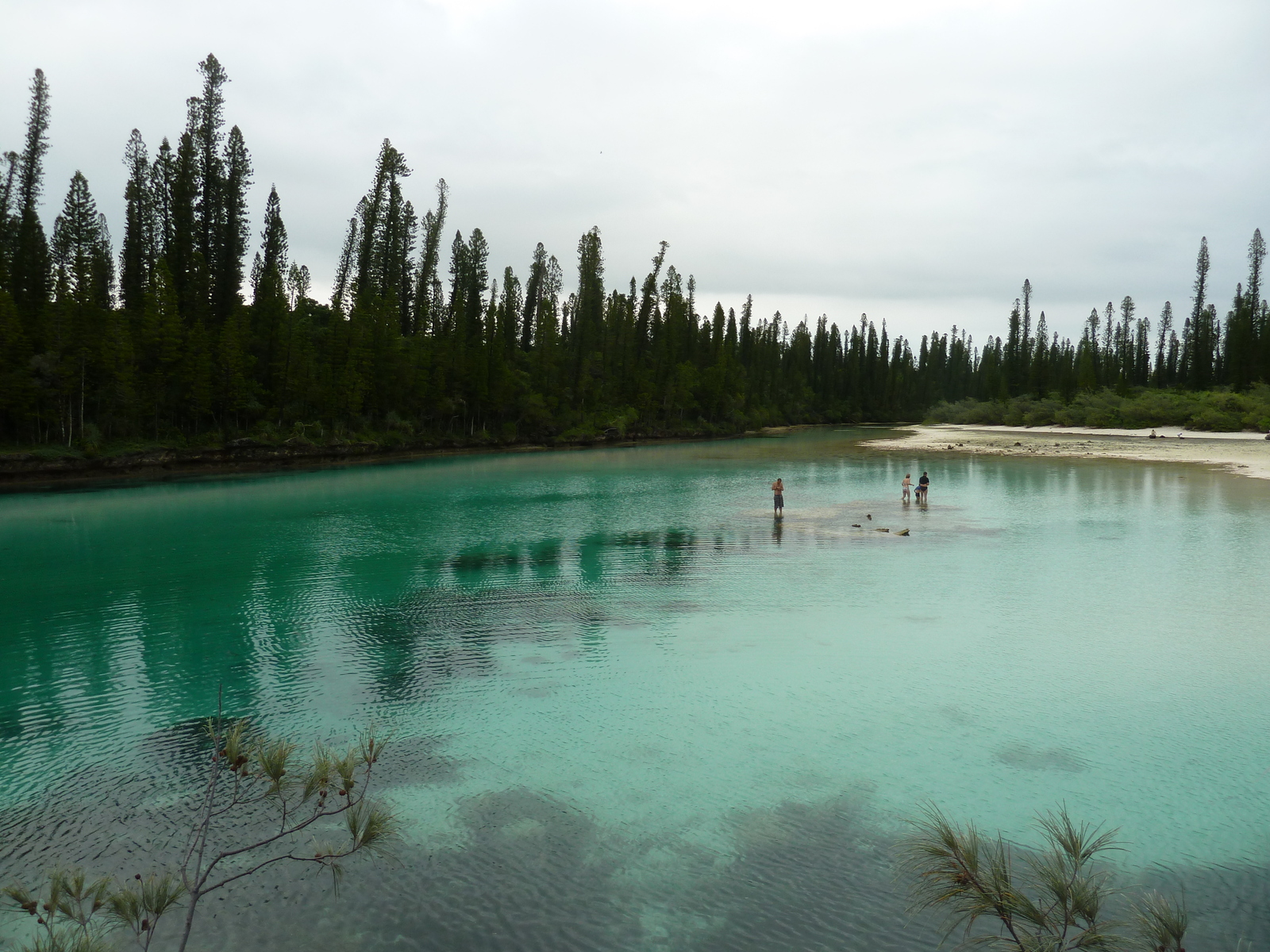 照片 新喀里多尼亚(New Caledonia) 松树岛(Ile des pins) 奥罗湾(Oro Bay) 2010-05 54