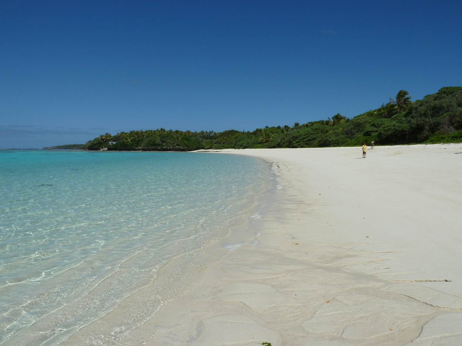 照片 新喀里多尼亚(New Caledonia) 利富岛(Lifou) 穆(Mu) 2010-05 46