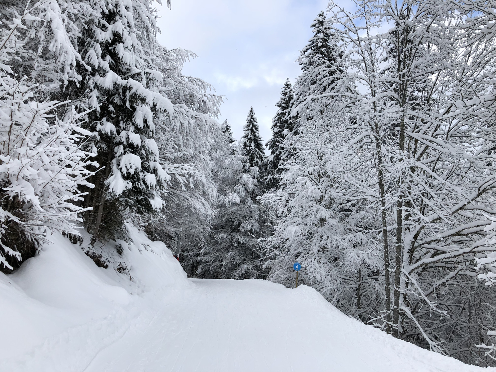 照片 法国(France) 拉克吕萨(La Clusaz) 2017-12 351