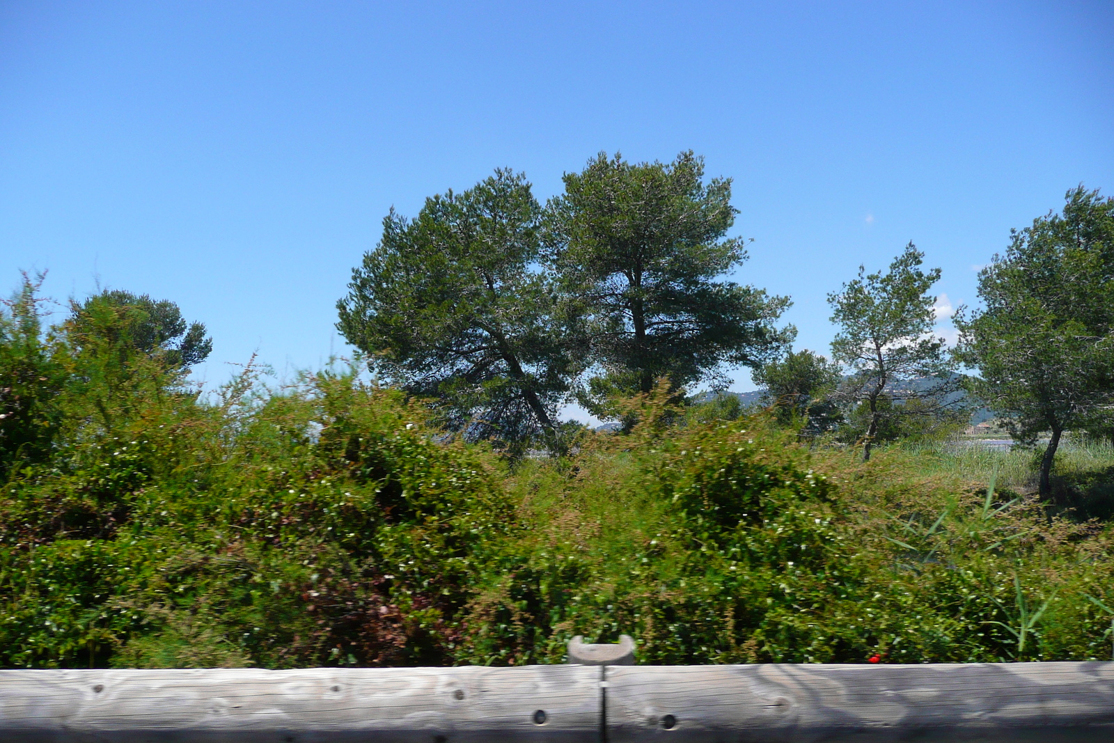 照片 法国(France) 蔚蓝海岸(French Riviera) 耶尔半岛(Hyeres peninsula) 2008-05 1