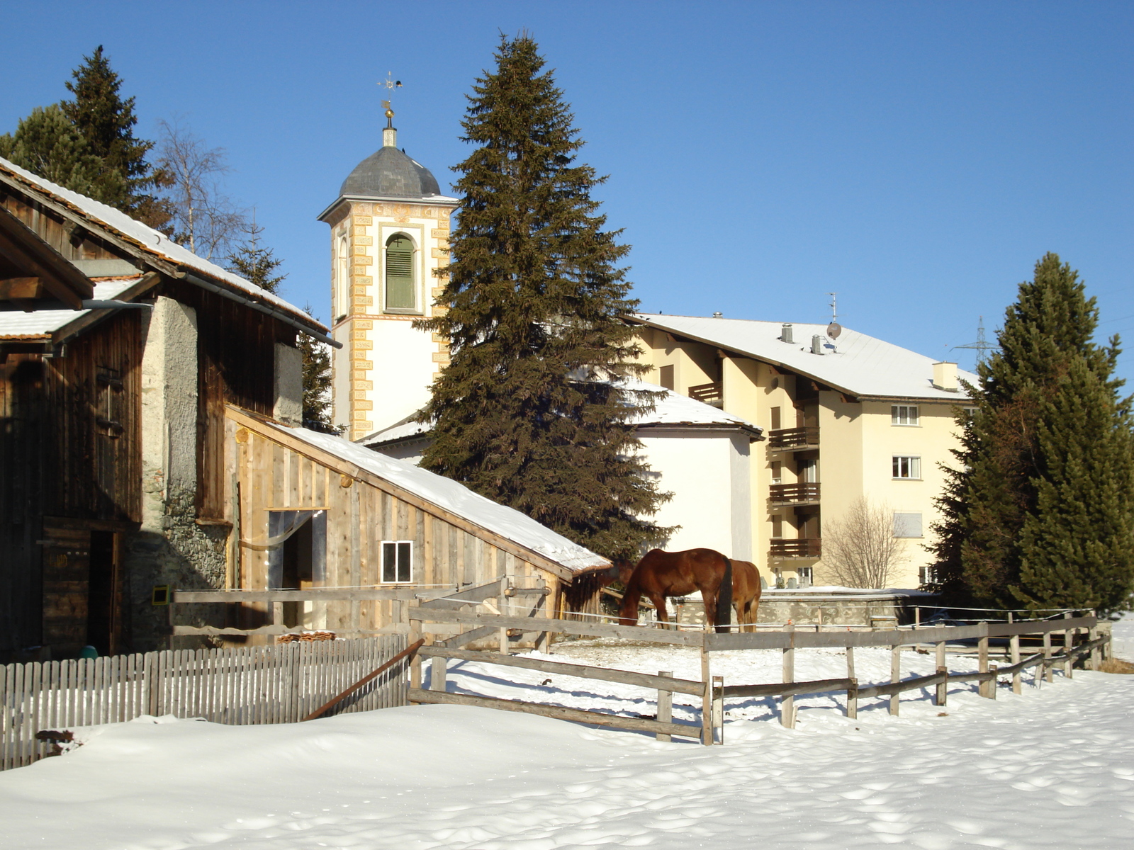 照片 瑞士(Switzerland) 比维奥(Bivio) 2007-01 25