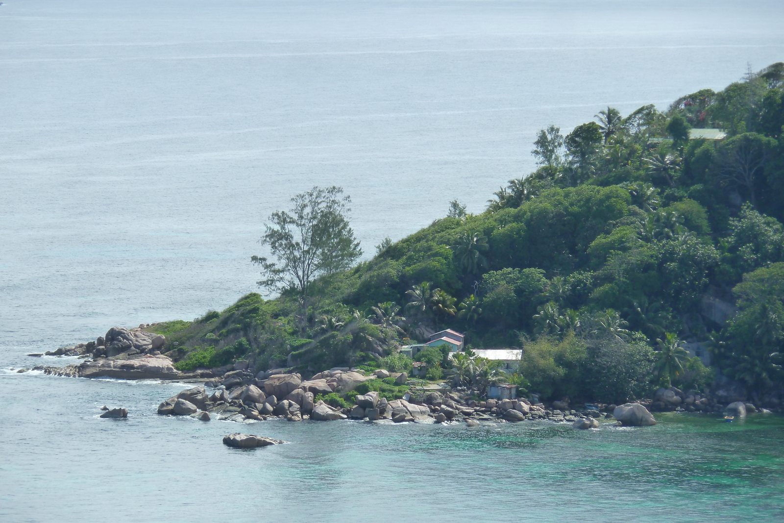 照片 塞舌尔(Seychelles) 普拉兰岛(Praslin) 2011-10 87