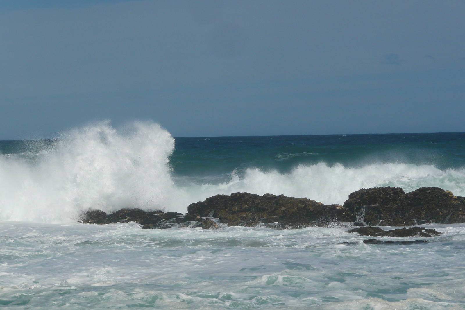 照片 南非(South Africa) 齐齐卡马国家公园(Tsitsikamma National Park) 2008-09 214