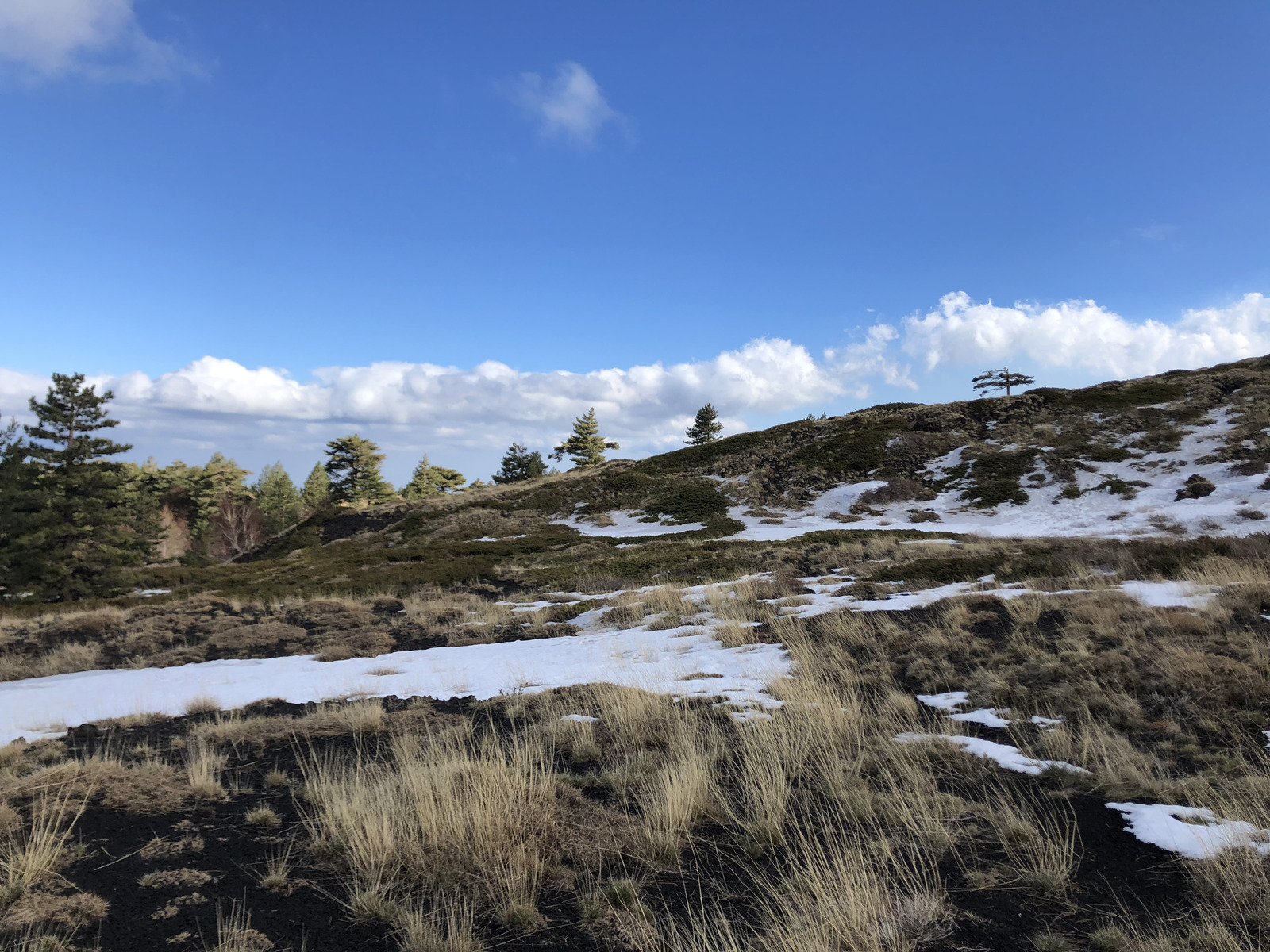 照片 意大利(Italy) 西西里岛(Sicily) 埃特纳火山(Etna) 2020-02 16