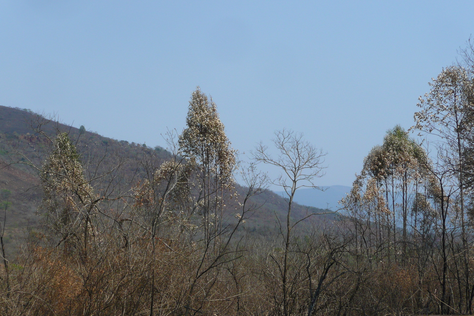 照片 南非(South Africa) 内尔斯普雷特至约翰内斯堡公路(Nelspruit to Johannesburg road) 2008-09 81