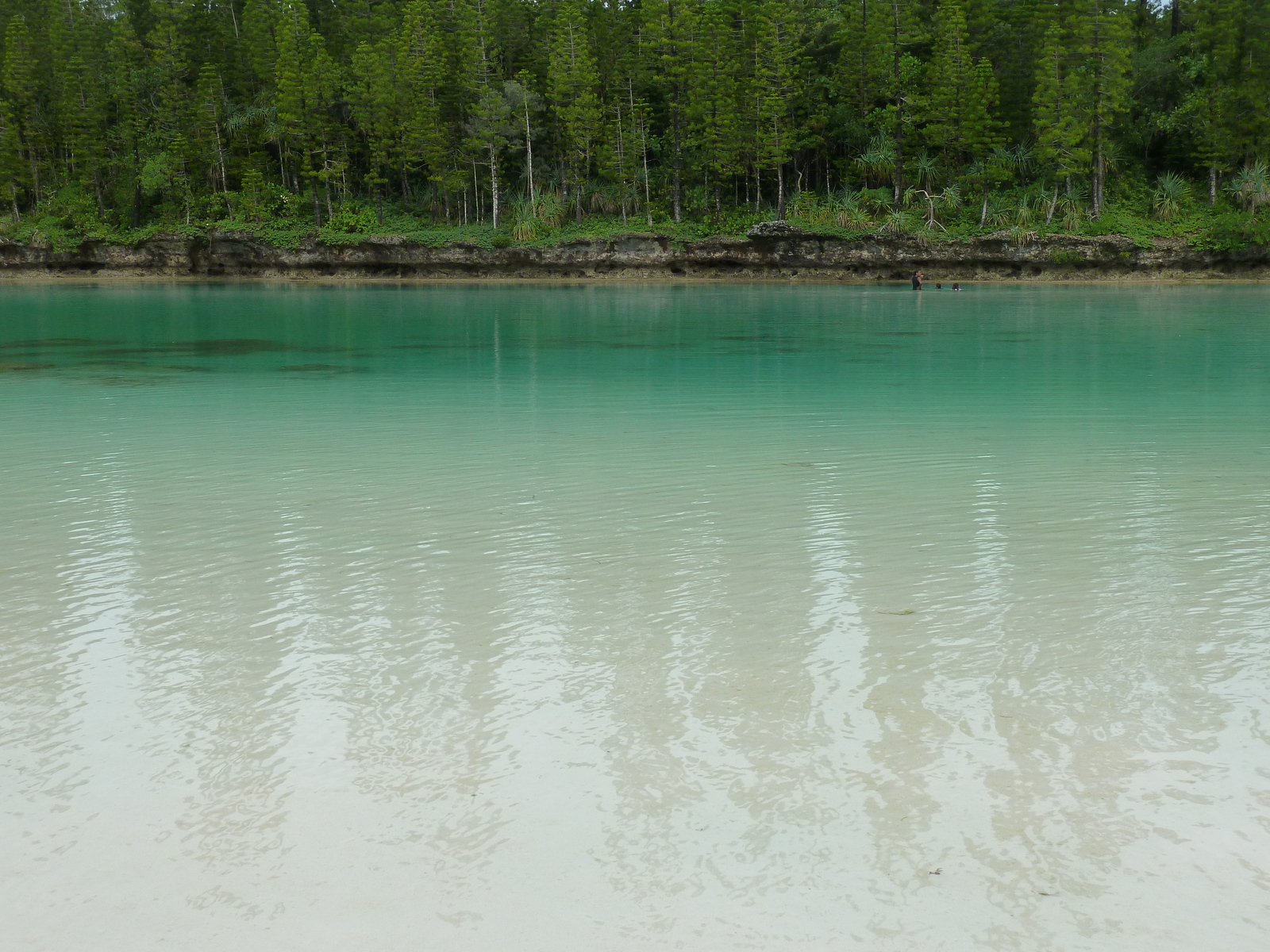 照片 新喀里多尼亚(New Caledonia) 松树岛(Ile des pins) 奥罗湾(Oro Bay) 2010-05 45
