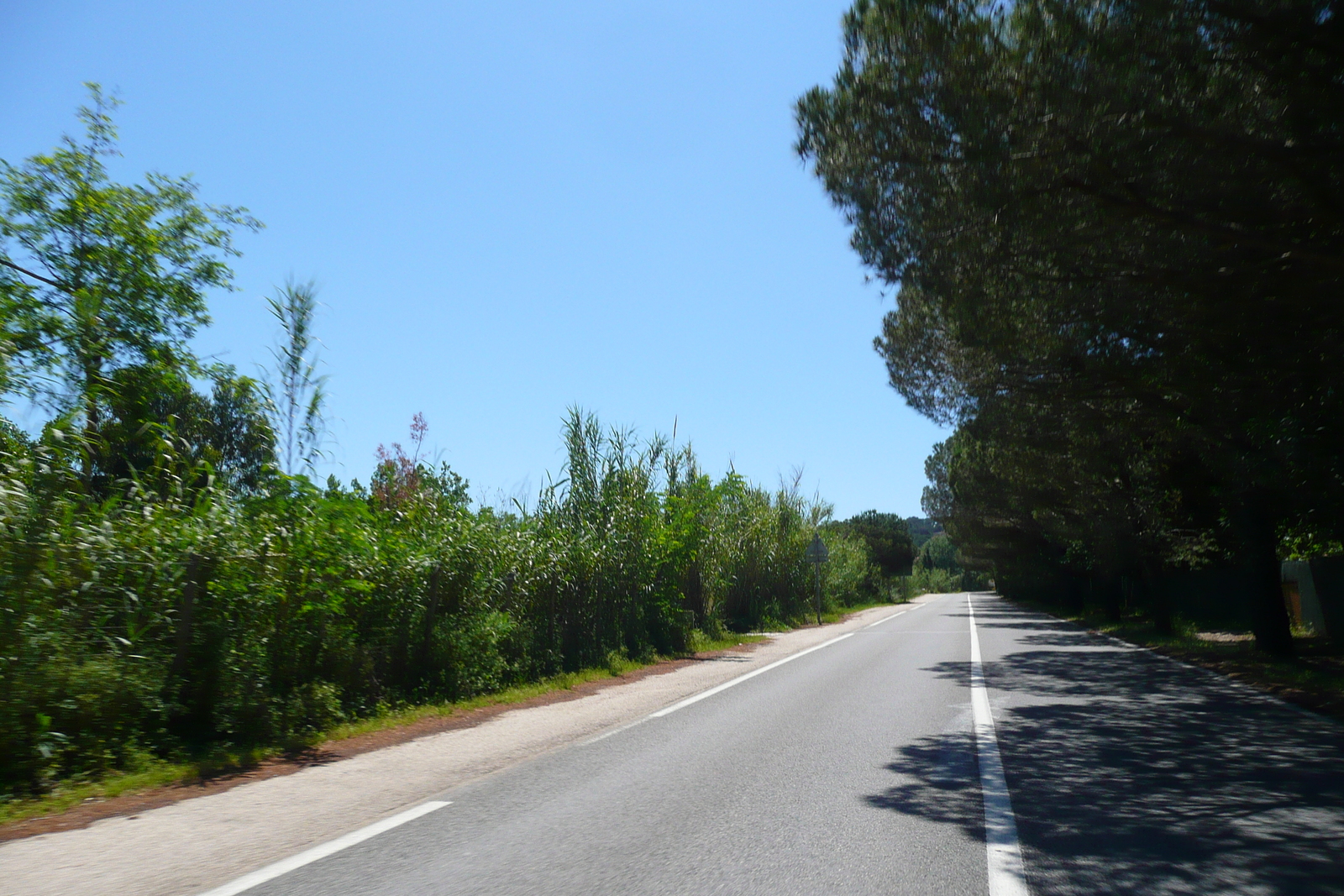 照片 法国(France) 蔚蓝海岸(French Riviera) 耶尔半岛(Hyeres peninsula) 2008-05 19
