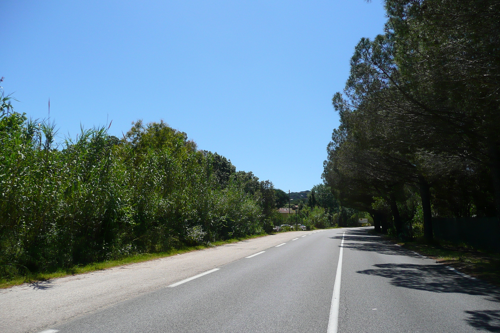 照片 法国(France) 蔚蓝海岸(French Riviera) 耶尔半岛(Hyeres peninsula) 2008-05 12