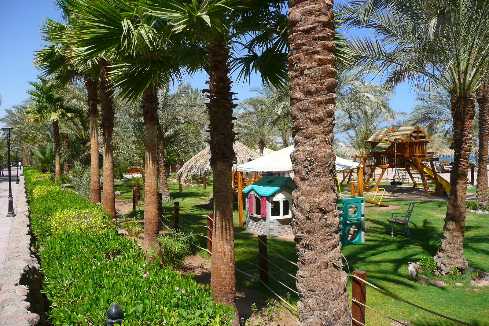 照片 埃及(Egypt) 沙姆沙伊赫(Sharm el Sheikh) 2008-06 57