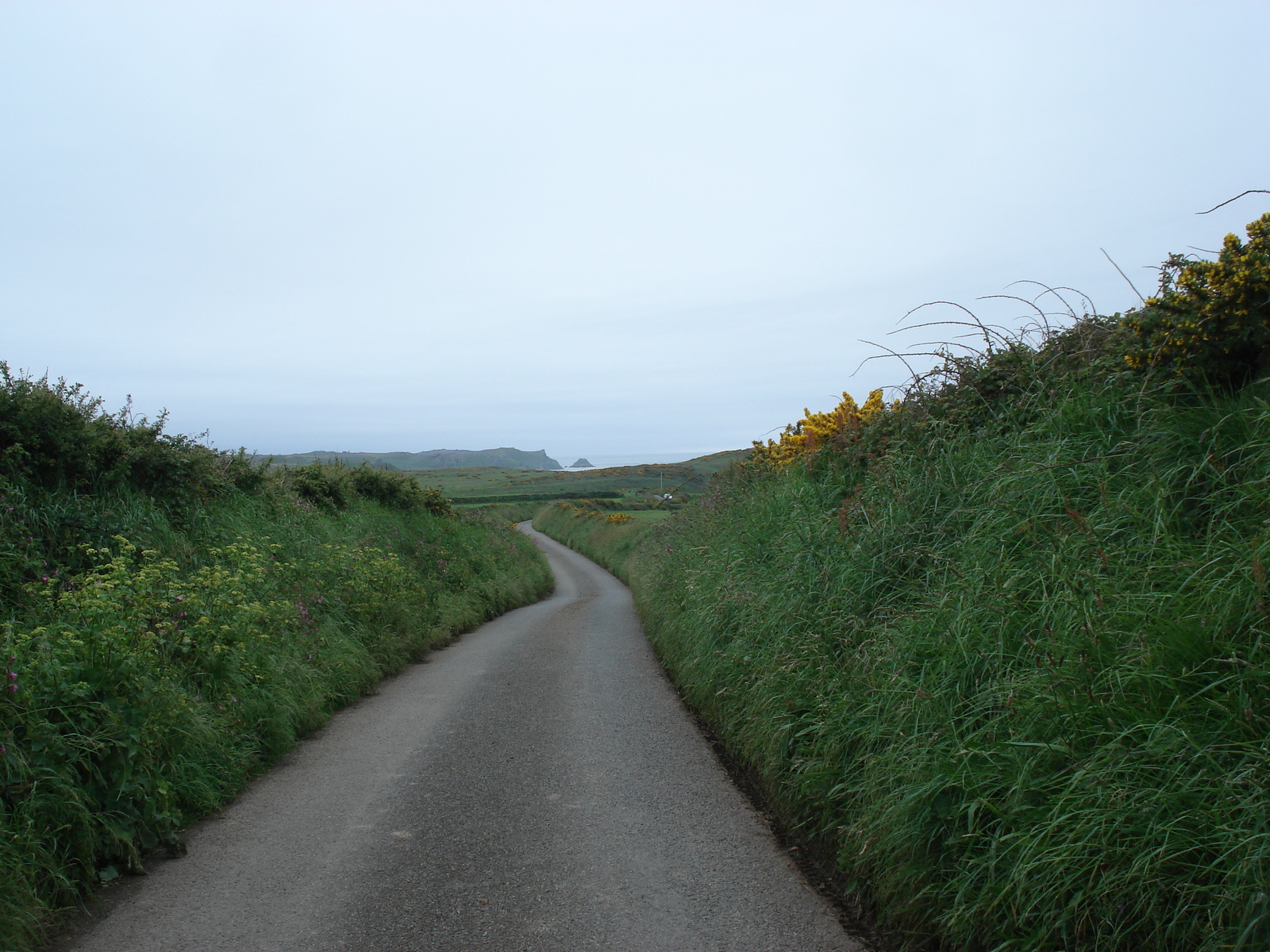 照片 英国(United Kingdom) 彭布罗克郡(Pembrokeshire) 2006-05 8