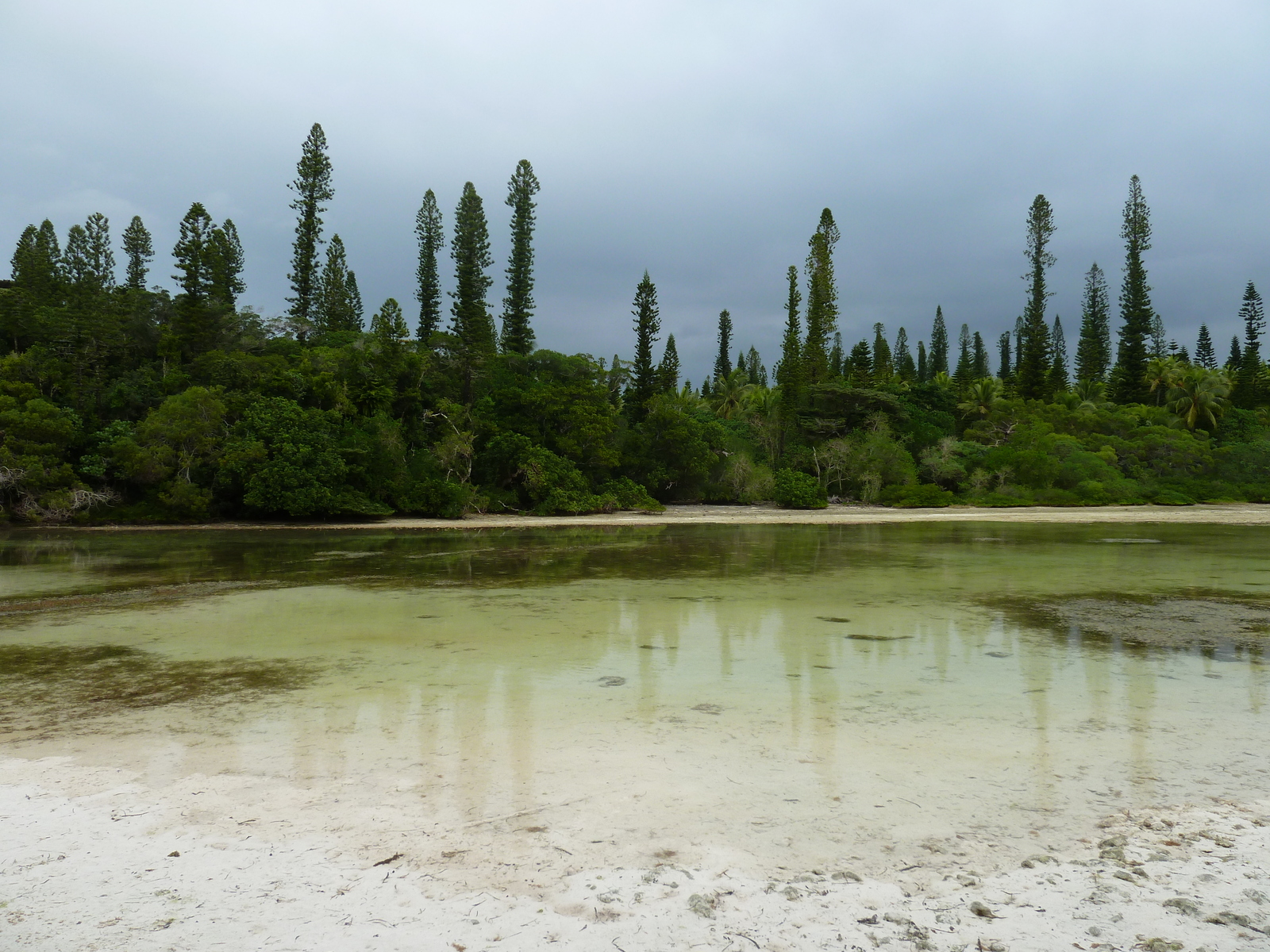 照片 新喀里多尼亚(New Caledonia) 松树岛(Ile des pins) 奥罗湾(Oro Bay) 2010-05 63