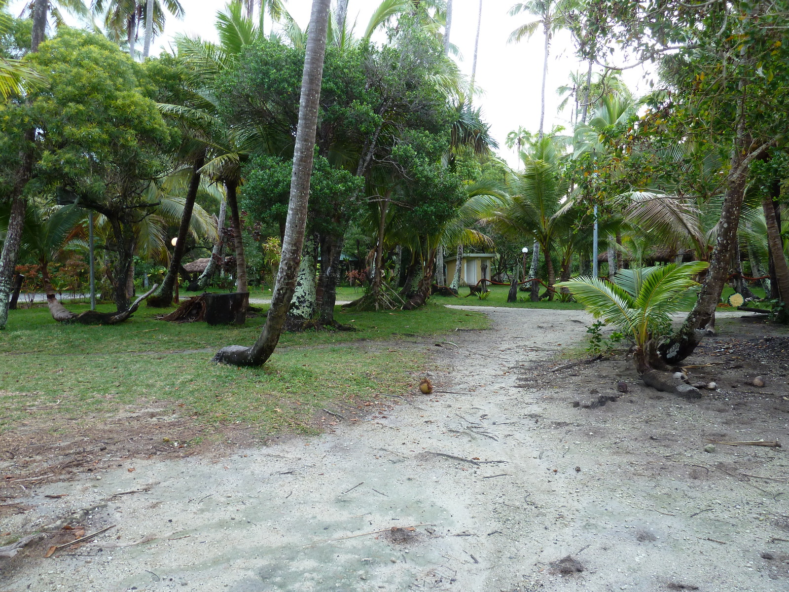 照片 新喀里多尼亚(New Caledonia) 松树岛(Ile des pins) 奥罗湾(Oro Bay) 2010-05 56