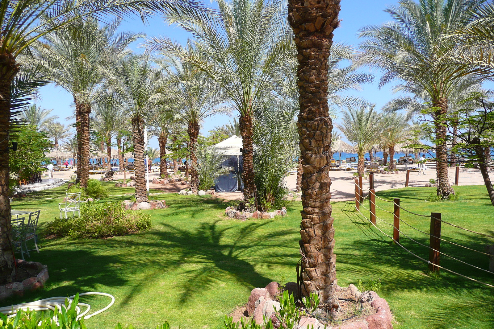 照片 埃及(Egypt) 沙姆沙伊赫(Sharm el Sheikh) 2008-06 31