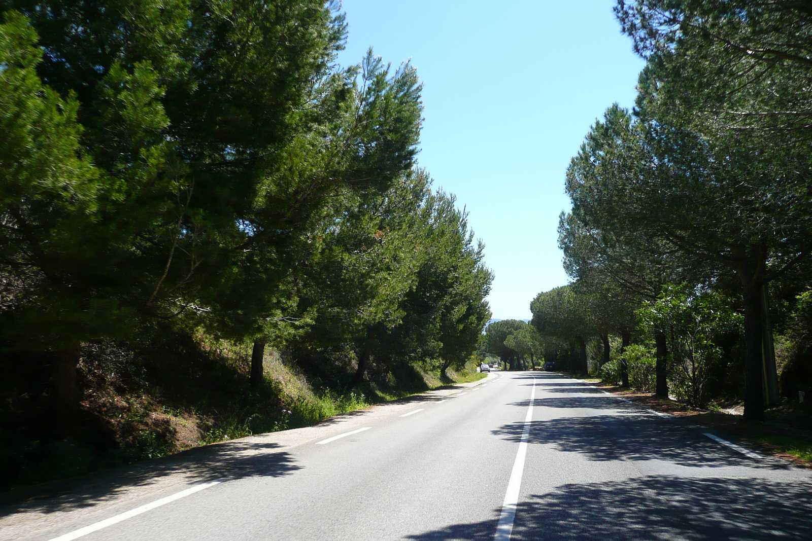 照片 法国(France) 蔚蓝海岸(French Riviera) 耶尔半岛(Hyeres peninsula) 2008-05 10