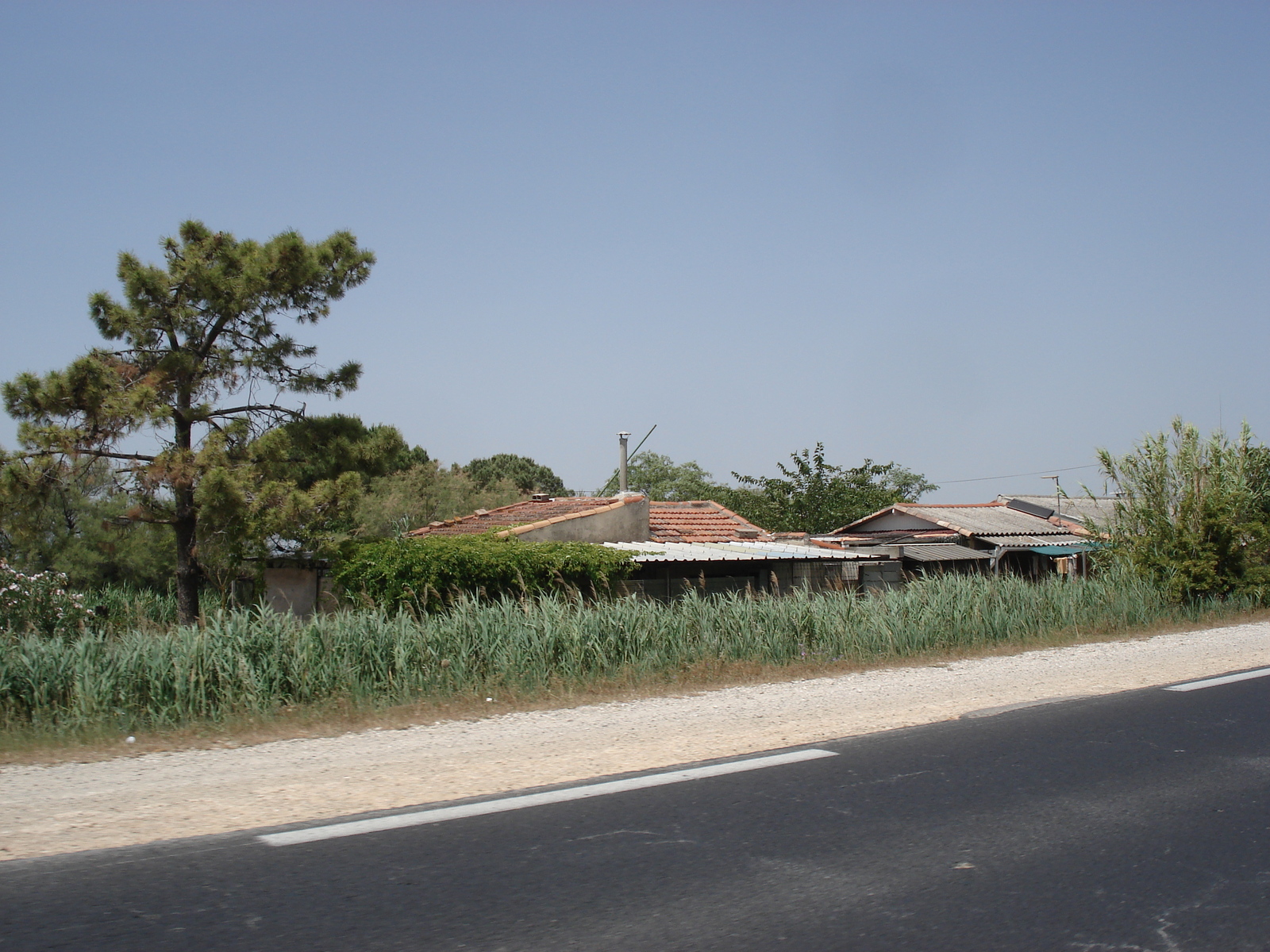 照片 法国(France) 卡马格(Camargue) 2006-06 5