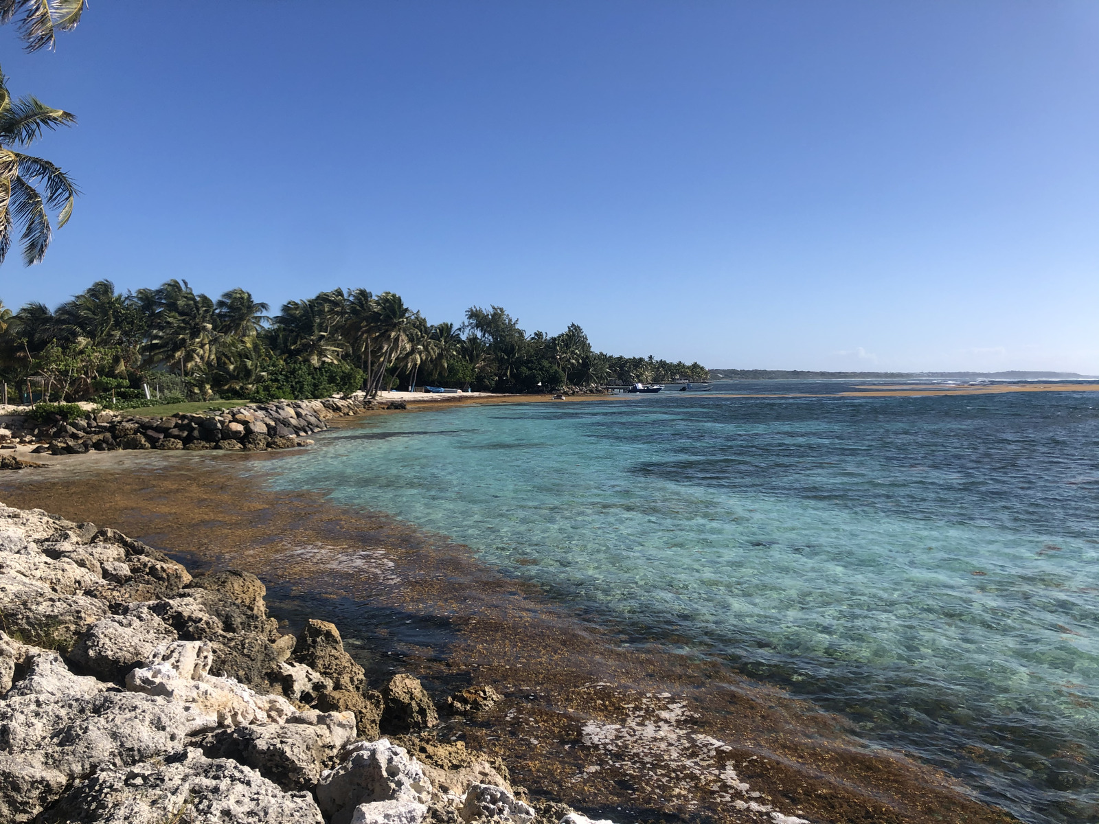 照片 瓜德罗普(Guadeloupe) 圣安妮(Sainte Anne) 2021-02 94