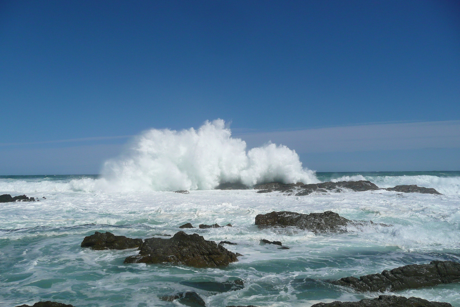 照片 南非(South Africa) 齐齐卡马国家公园(Tsitsikamma National Park) 2008-09 211