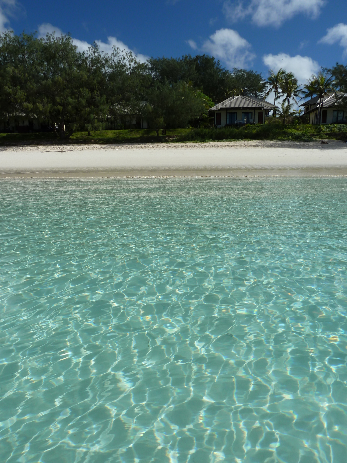 照片 新喀里多尼亚(New Caledonia) 利富岛(Lifou) 夏多布里昂湾(Chateaubriand Bay) 2010-05 31
