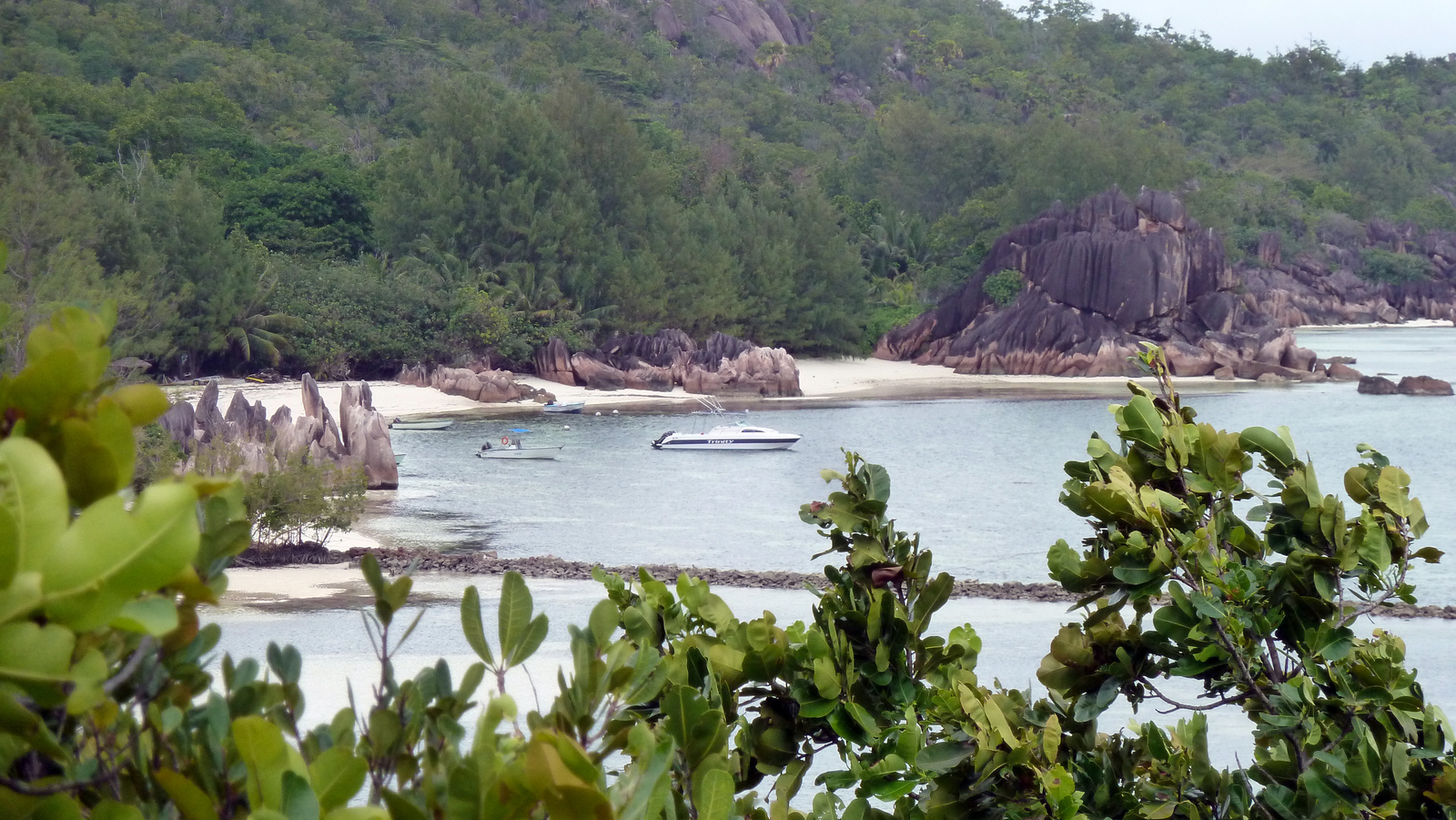 照片 塞舌尔(Seychelles) 2011-10 41