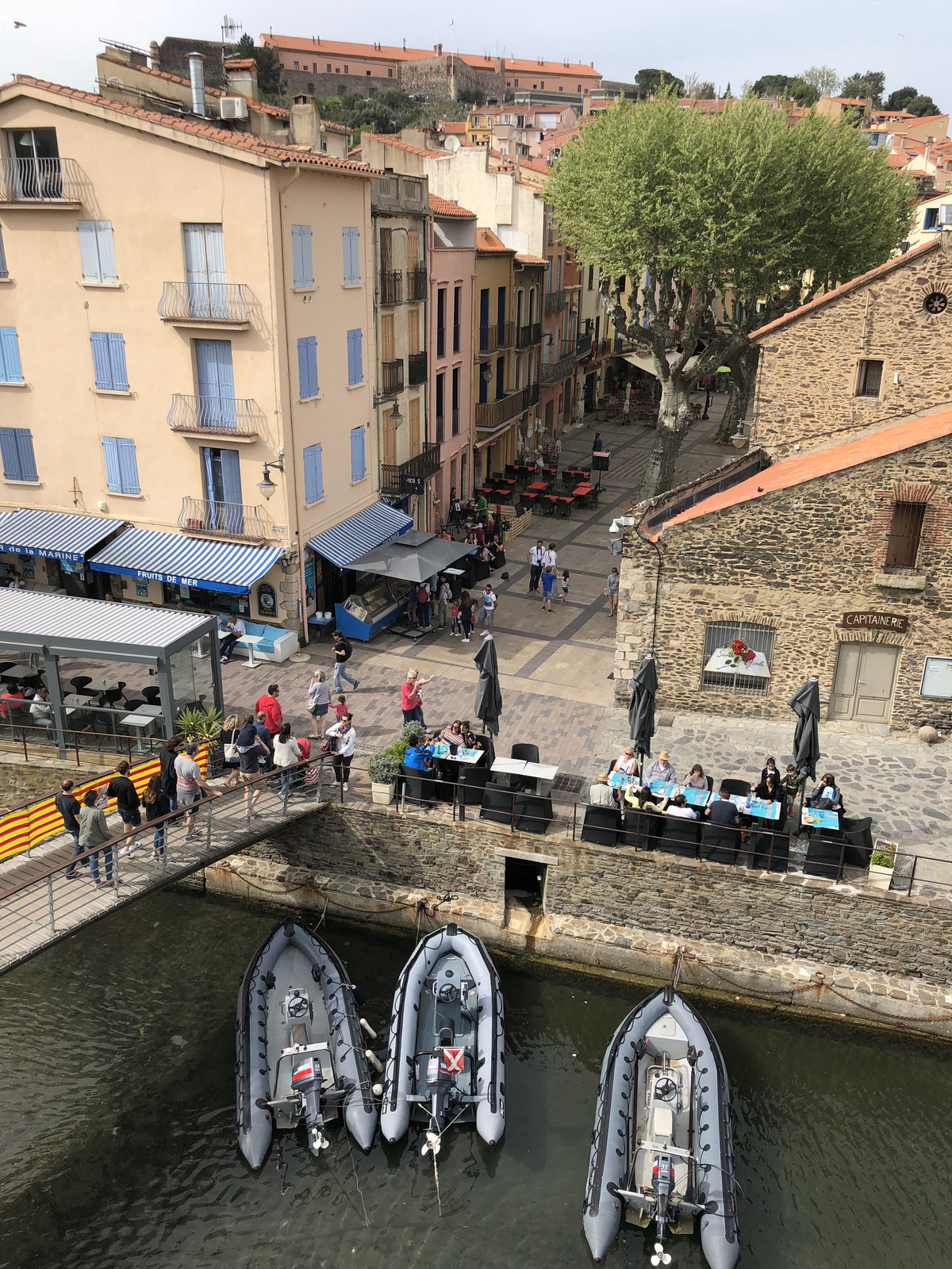 照片 法国(France) 科利乌尔(Collioure) 2018-04 251