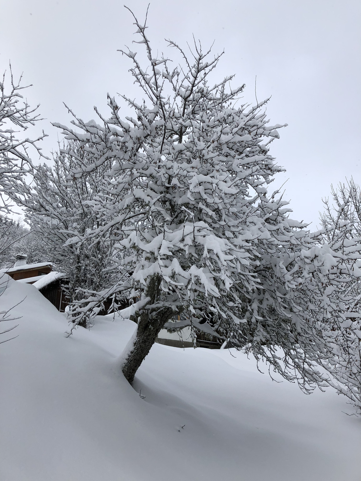 照片 法国(France) 拉克吕萨(La Clusaz) 2017-12 281