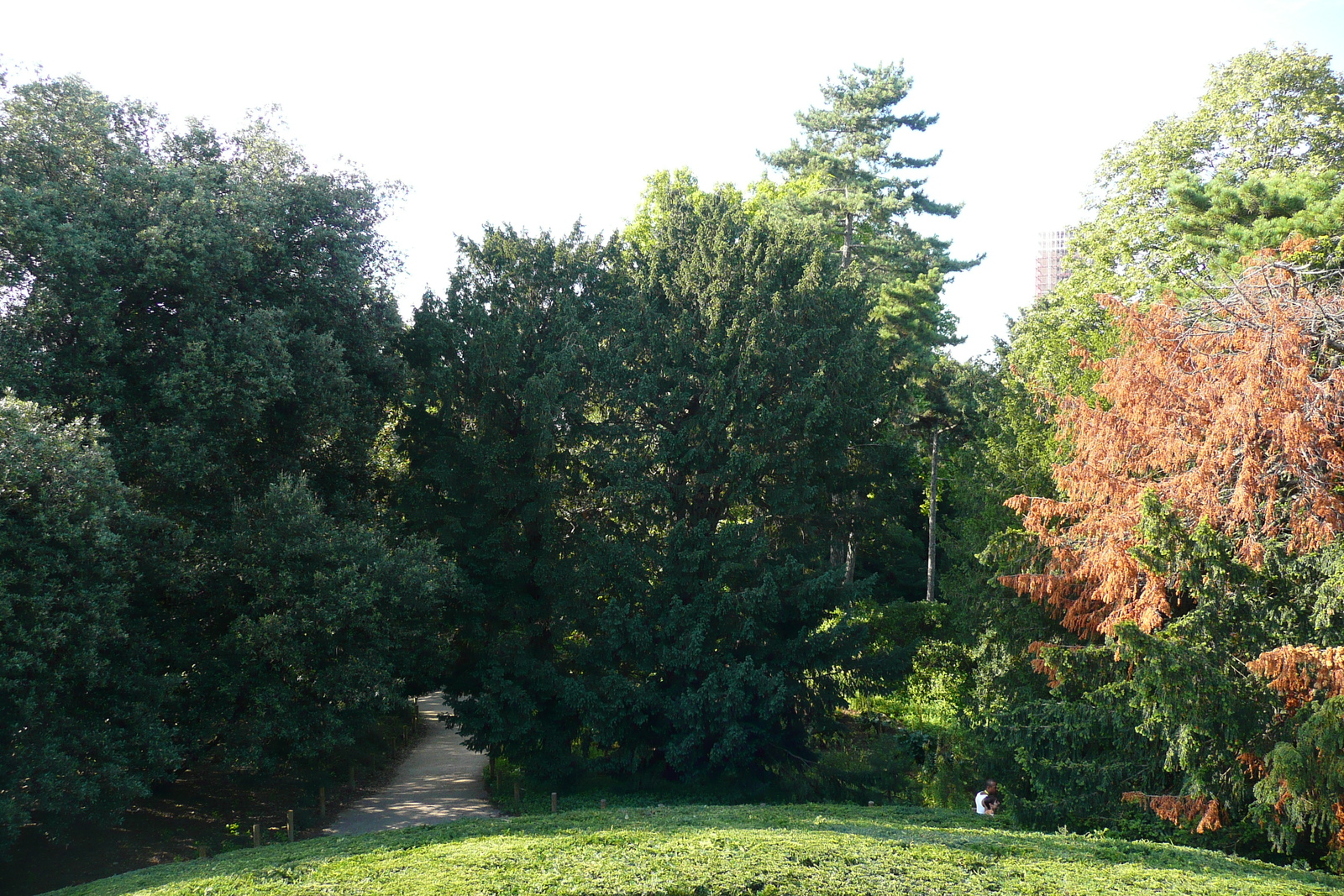 照片 法国(France) 巴黎(Paris) 巴黎植物园(Jardin des Plantes) 2007-08 30