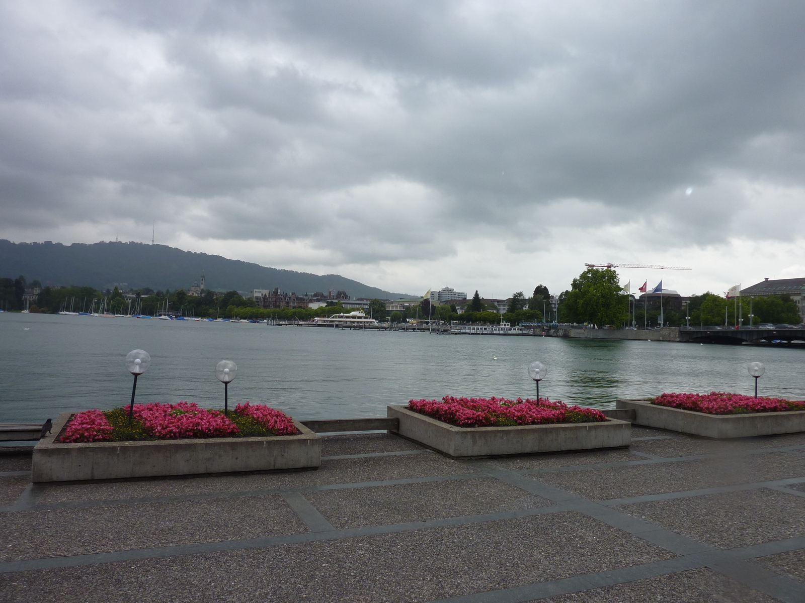 照片 瑞士(Switzerland) 苏黎世(Zurich) 2009-06 18