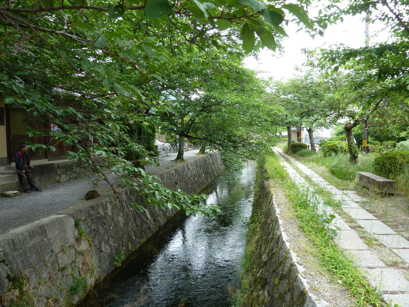 照片 日本(Japan) 京都(Kyoto) 2010-06 9
