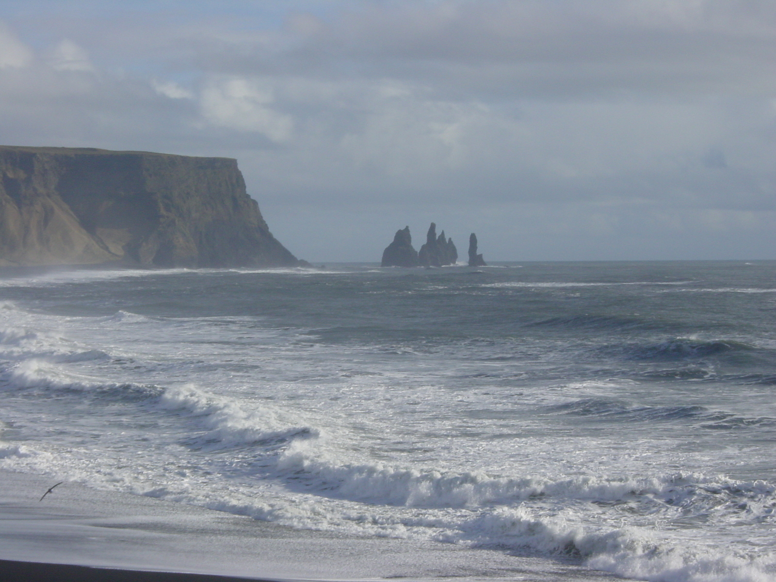 照片 冰岛(Iceland) 迪霍拉伊(Dyrholaey) 2003-03 14