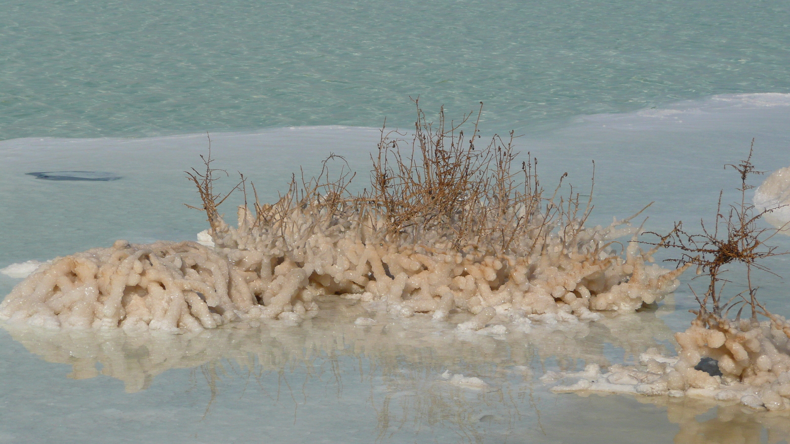 照片 以色列(Israel) 埃因博克(Boqeq) 2007-06 84