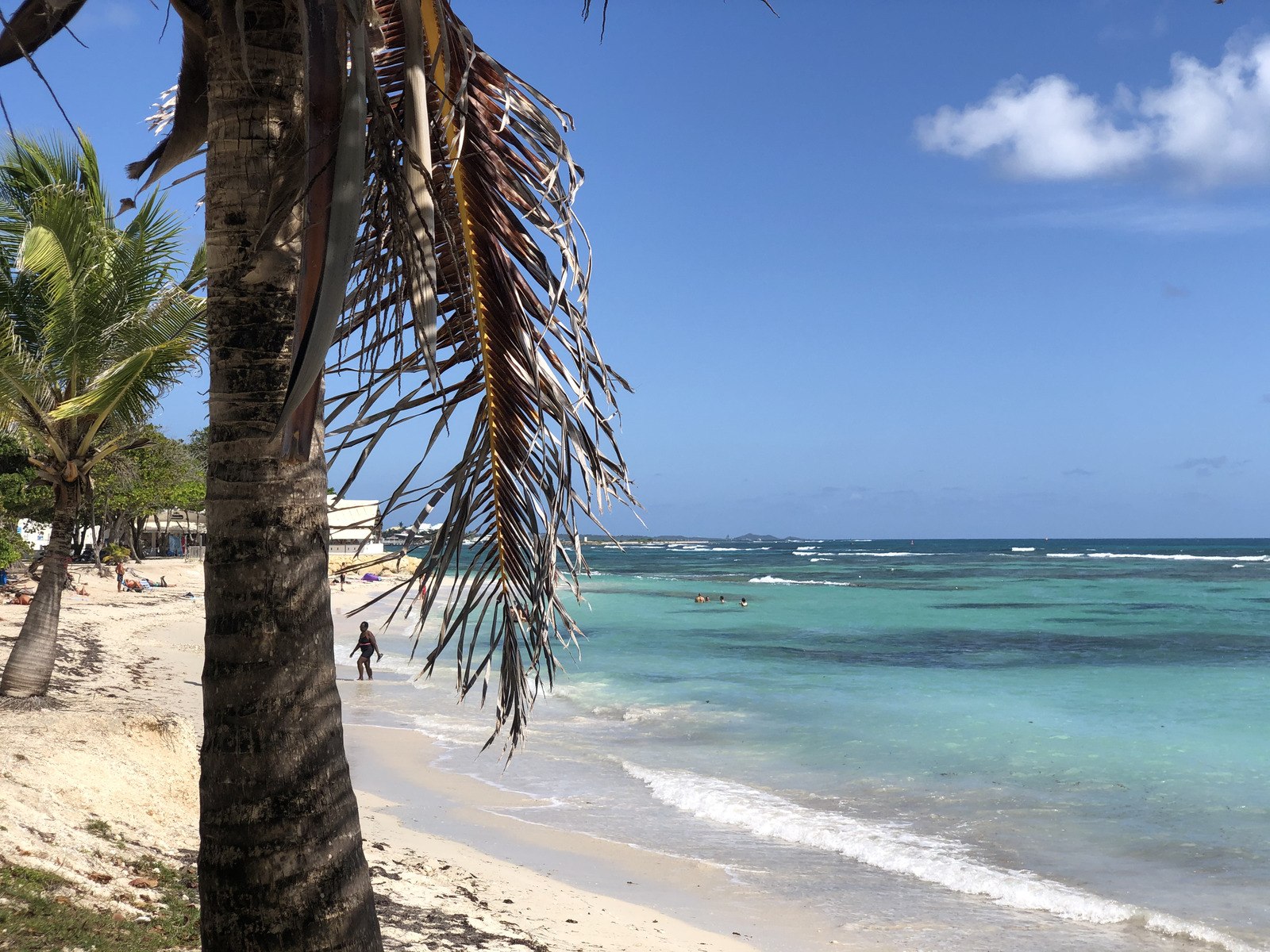 照片 瓜德罗普(Guadeloupe) 圣弗朗索瓦(Saint Francois) 2021-02 3