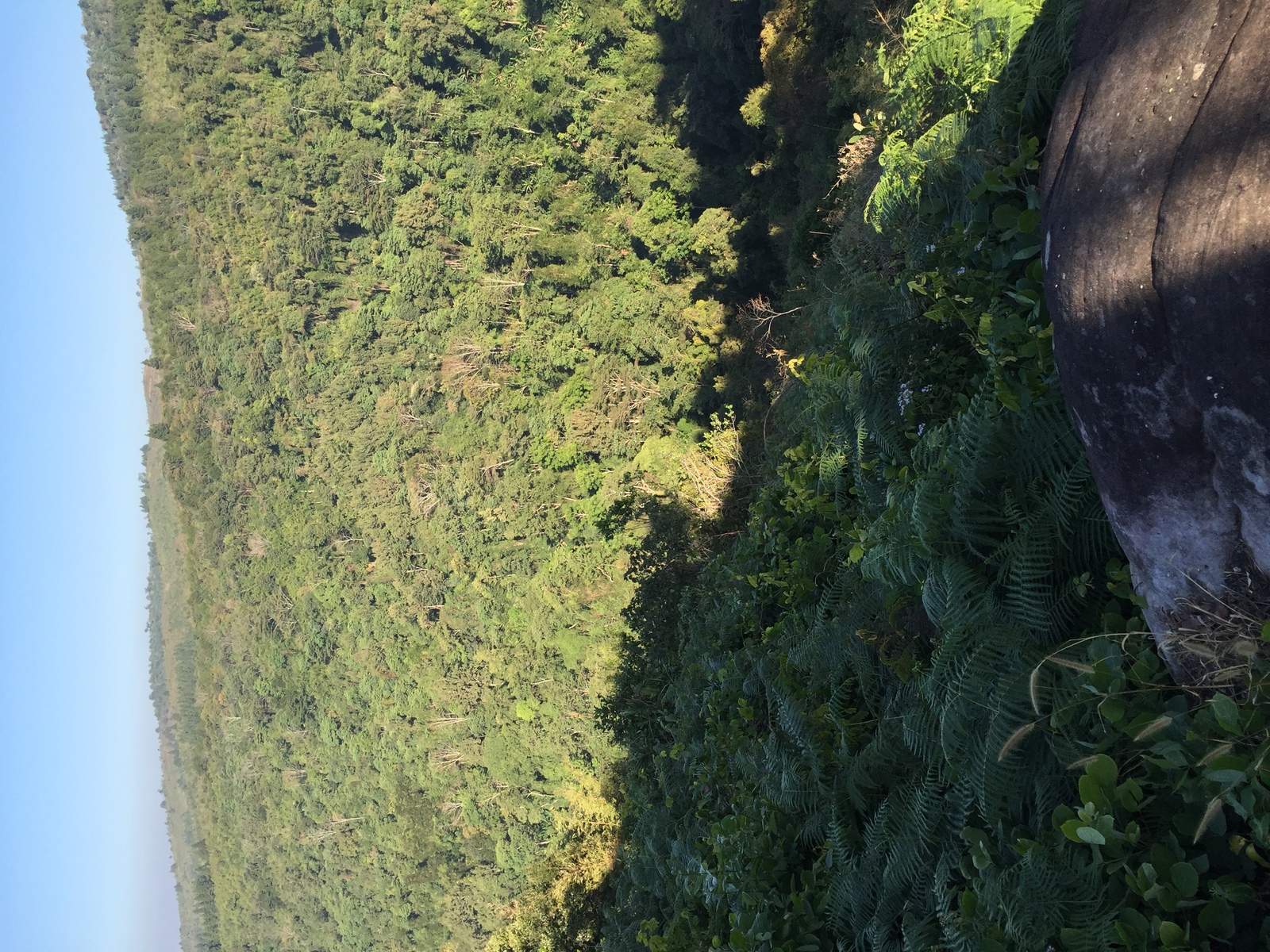 照片 泰国(Thailand) 普欣隆卡国家公园(Phu Hin Rong Kla National Park) 2014-12 180