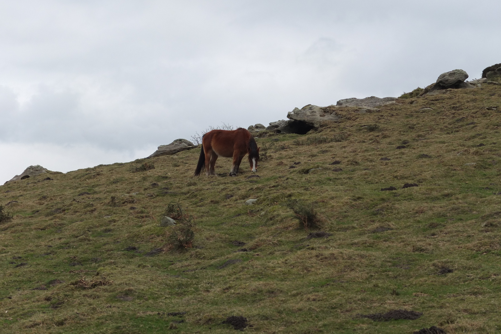 照片 法国(France) 巴斯克地区(Basque Country) 2013-01 115