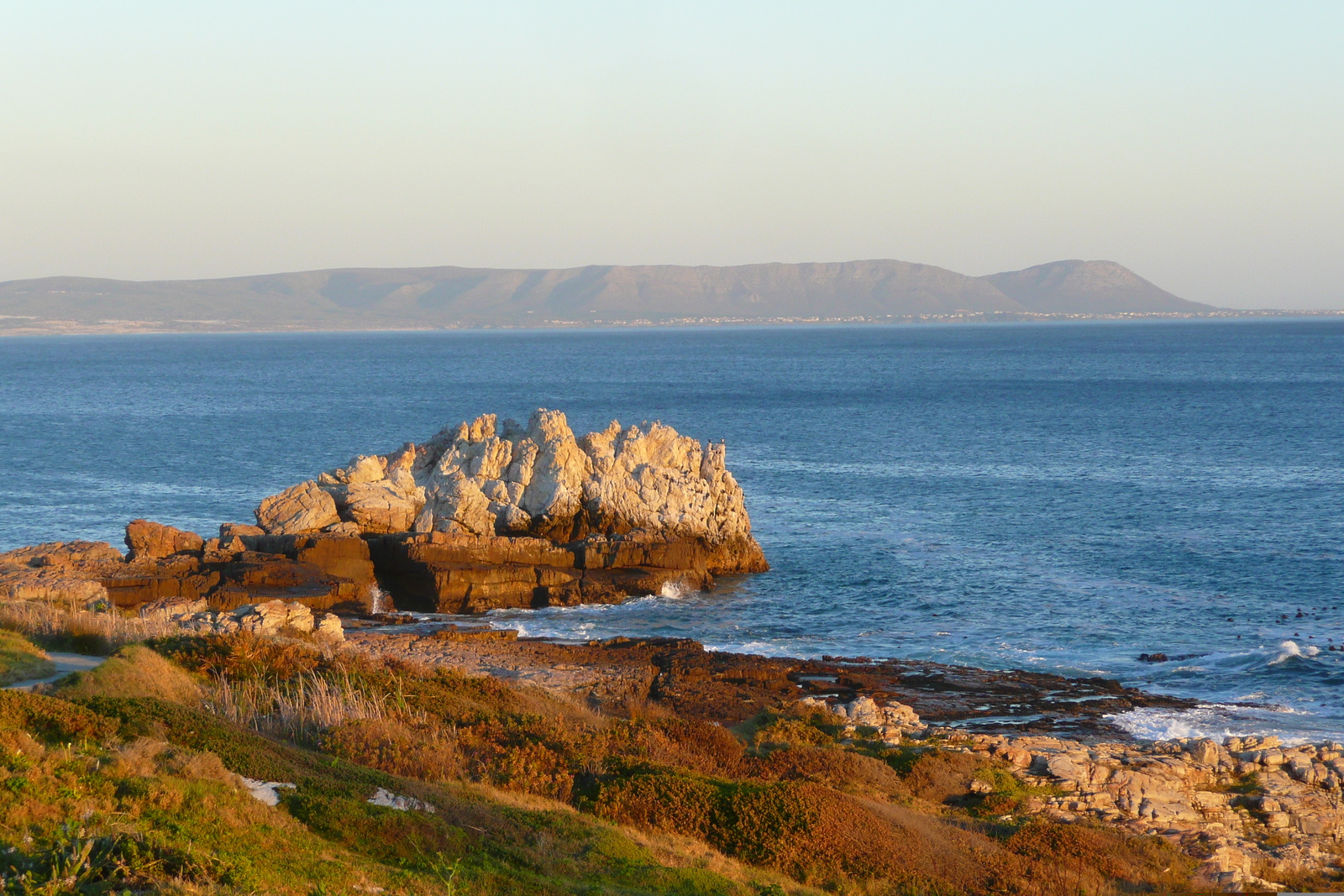 照片 南非(South Africa) 赫曼努斯(Harmanus) 2008-09 31